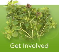 Get Involved Banner